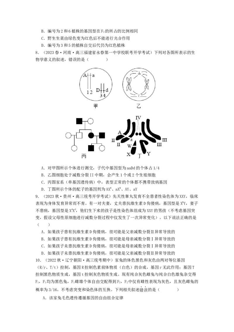专题12遗传规律（原卷版）_2024年新高考资料_1.2024一轮复习_备战2024年高考生物一轮复习抢分特训（全国通用）_专题12+遗传规律-备战2024年高考生物一轮复习抢分特训（全国通用）
