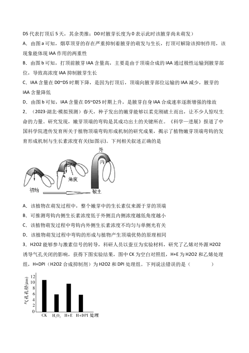 专题12植物的激素调节（原卷版）_2024年新高考资料_3.2024专项复习_备战2024年高考生物一轮复习重难点突破讲解与训练（新教材）