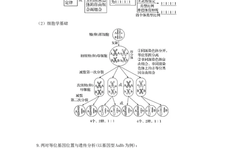 专题15基因的自由组合定律（串讲）（解析版）_2024年新高考资料_1.2024一轮复习_备战2024年高考生物一轮复习串讲精练（新高考专用）