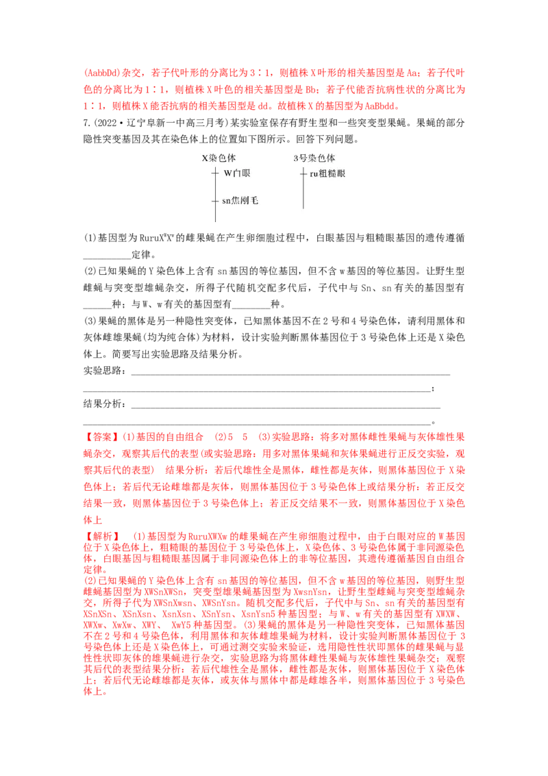 专题15基因的自由组合定律（串讲）（解析版）_2024年新高考资料_1.2024一轮复习_备战2024年高考生物一轮复习串讲精练（新高考专用）