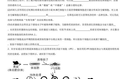 专题五生物技术与工程（综合题特训）-2024年高考生物二轮复习专题训练（全国通用）（解析版）_2024年新高考资料_2.2024二轮复习_2024年高考生物二轮复习专题训练（全国通用）
