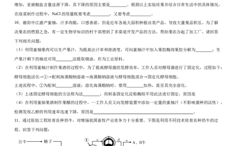 专题五生物技术与工程（综合题特训）-2024年高考生物二轮复习专题训练（全国通用）（解析版）_2024年新高考资料_2.2024二轮复习_2024年高考生物二轮复习专题训练（全国通用）