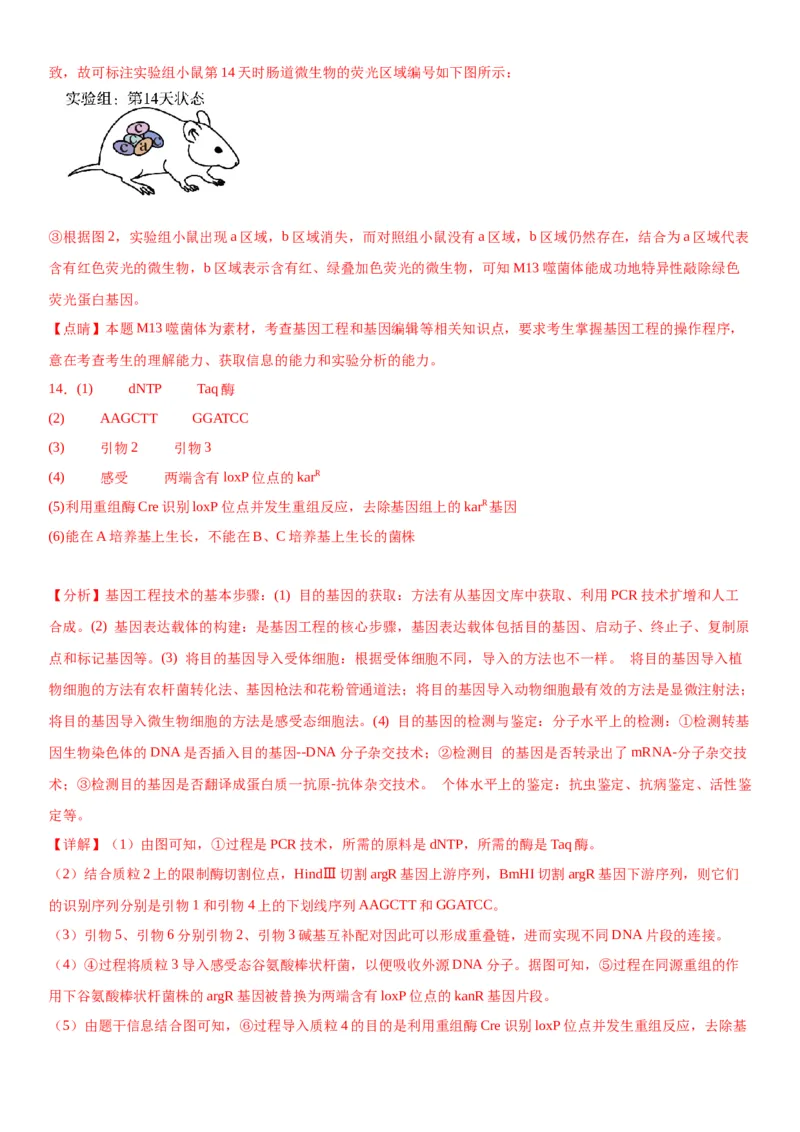 专题五生物技术与工程（综合题特训）-2024年高考生物二轮复习专题训练（全国通用）（解析版）_2024年新高考资料_2.2024二轮复习_2024年高考生物二轮复习专题训练（全国通用）