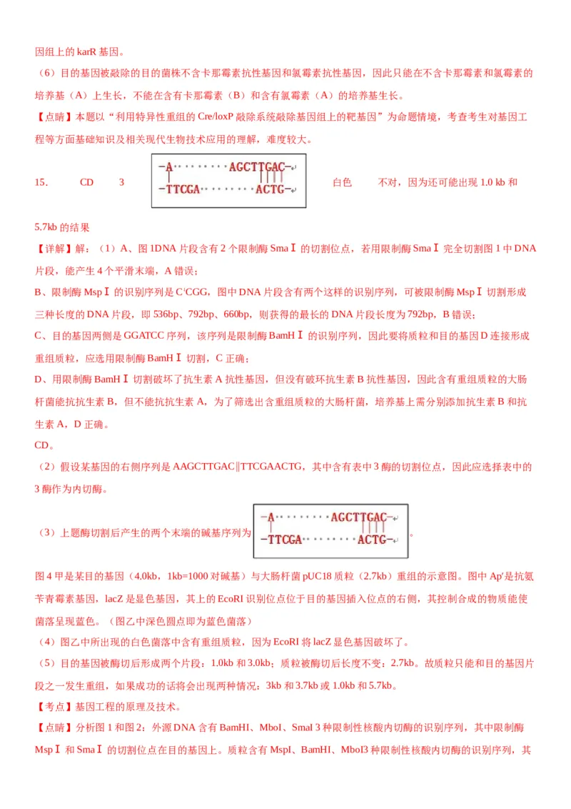 专题五生物技术与工程（综合题特训）-2024年高考生物二轮复习专题训练（全国通用）（解析版）_2024年新高考资料_2.2024二轮复习_2024年高考生物二轮复习专题训练（全国通用）