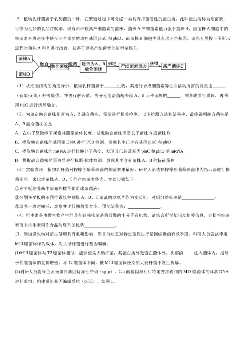 专题五生物技术与工程（综合题特训）-2024年高考生物二轮复习专题训练（全国通用）（解析版）_2024年新高考资料_2.2024二轮复习_2024年高考生物二轮复习专题训练（全国通用）