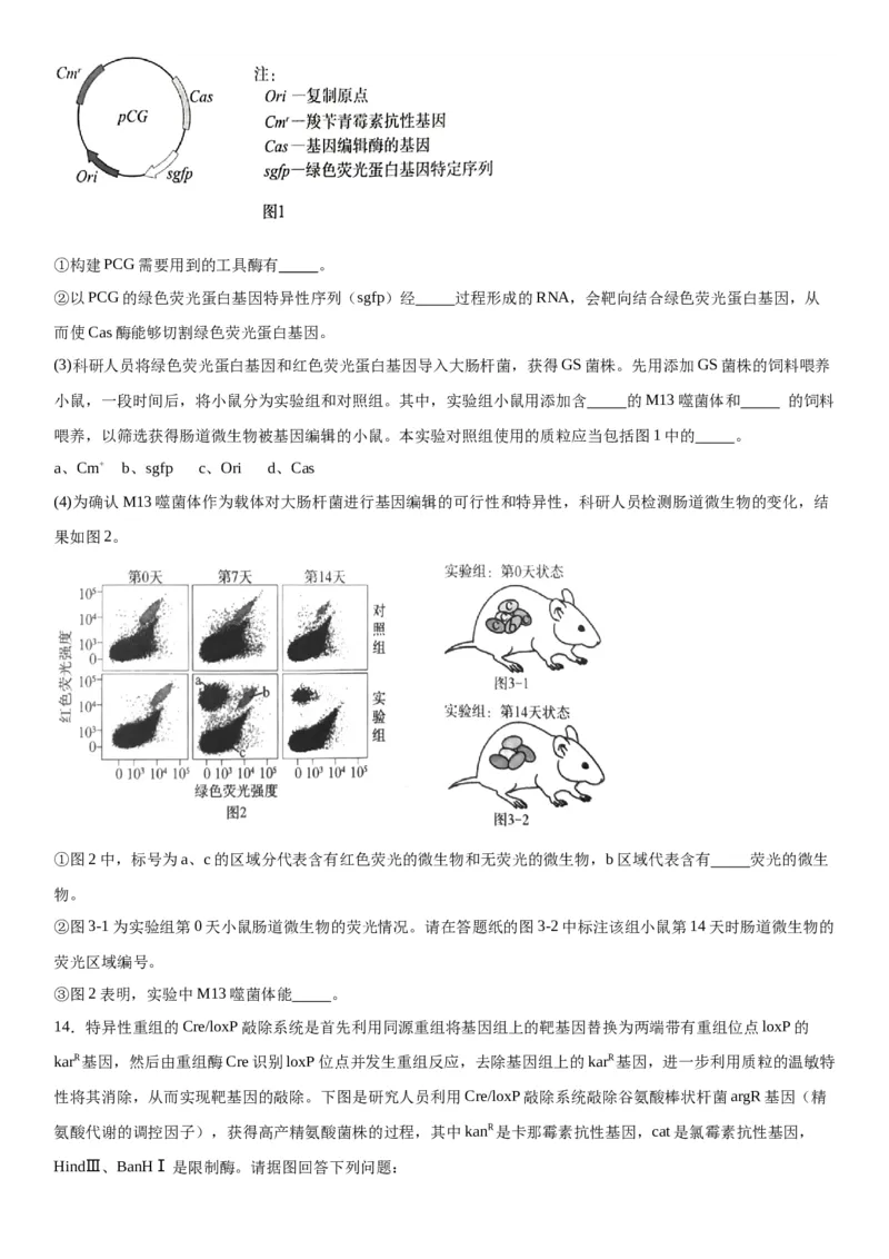 专题五生物技术与工程（综合题特训）-2024年高考生物二轮复习专题训练（全国通用）（解析版）_2024年新高考资料_2.2024二轮复习_2024年高考生物二轮复习专题训练（全国通用）