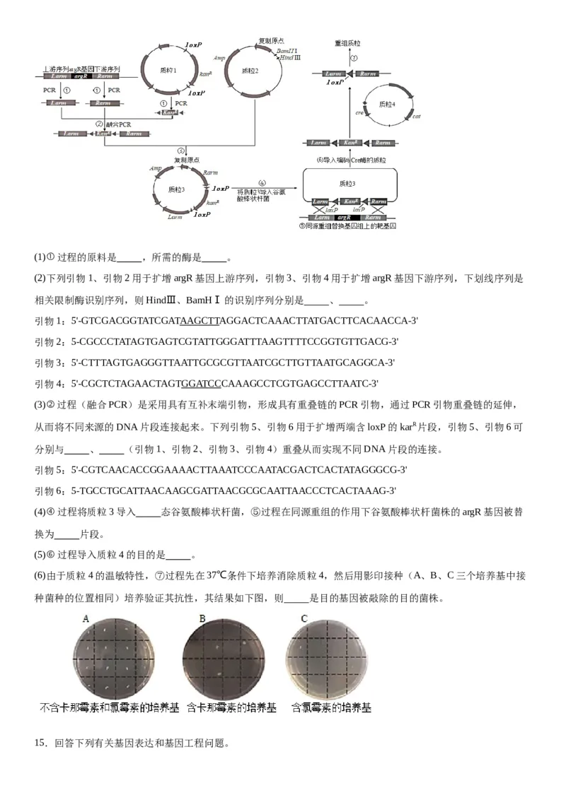 专题五生物技术与工程（综合题特训）-2024年高考生物二轮复习专题训练（全国通用）（解析版）_2024年新高考资料_2.2024二轮复习_2024年高考生物二轮复习专题训练（全国通用）