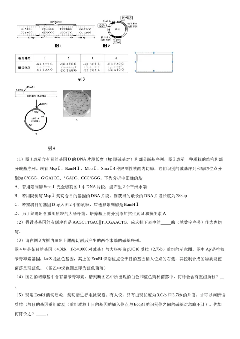 专题五生物技术与工程（综合题特训）-2024年高考生物二轮复习专题训练（全国通用）（解析版）_2024年新高考资料_2.2024二轮复习_2024年高考生物二轮复习专题训练（全国通用）