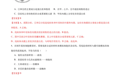 专题一细胞的物质基础和结构基础（测试）（解析版）_2024年新高考资料_2.2024二轮复习_2024年高考生物二轮复习讲练测（新教材新高考）