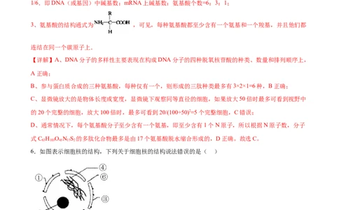 专题一细胞的物质基础和结构基础（测试）（解析版）_2024年新高考资料_2.2024二轮复习_2024年高考生物二轮复习讲练测（新教材新高考）