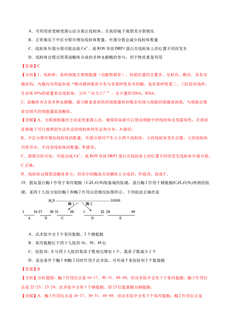 专题一细胞的物质基础和结构基础（测试）（解析版）_2024年新高考资料_2.2024二轮复习_2024年高考生物二轮复习讲练测（新教材新高考）
