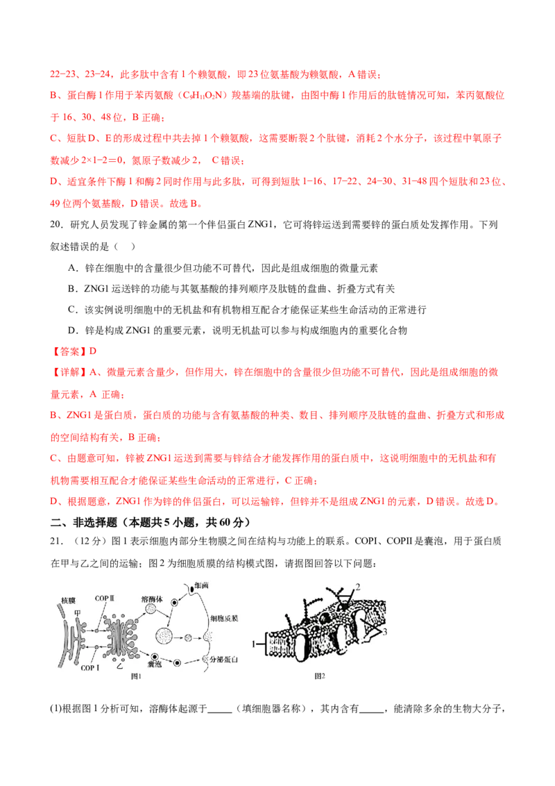 专题一细胞的物质基础和结构基础（测试）（解析版）_2024年新高考资料_2.2024二轮复习_2024年高考生物二轮复习讲练测（新教材新高考）