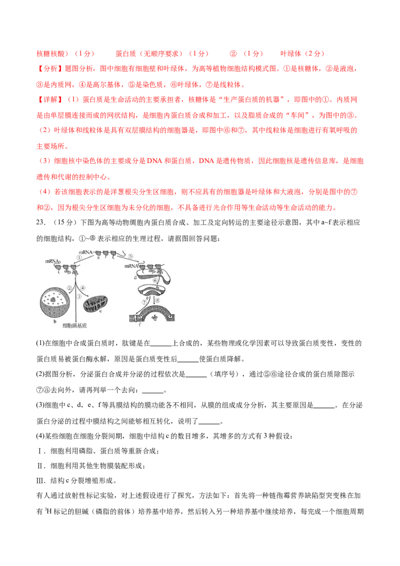 专题一细胞的物质基础和结构基础（测试）（解析版）_2024年新高考资料_2.2024二轮复习_2024年高考生物二轮复习讲练测（新教材新高考）