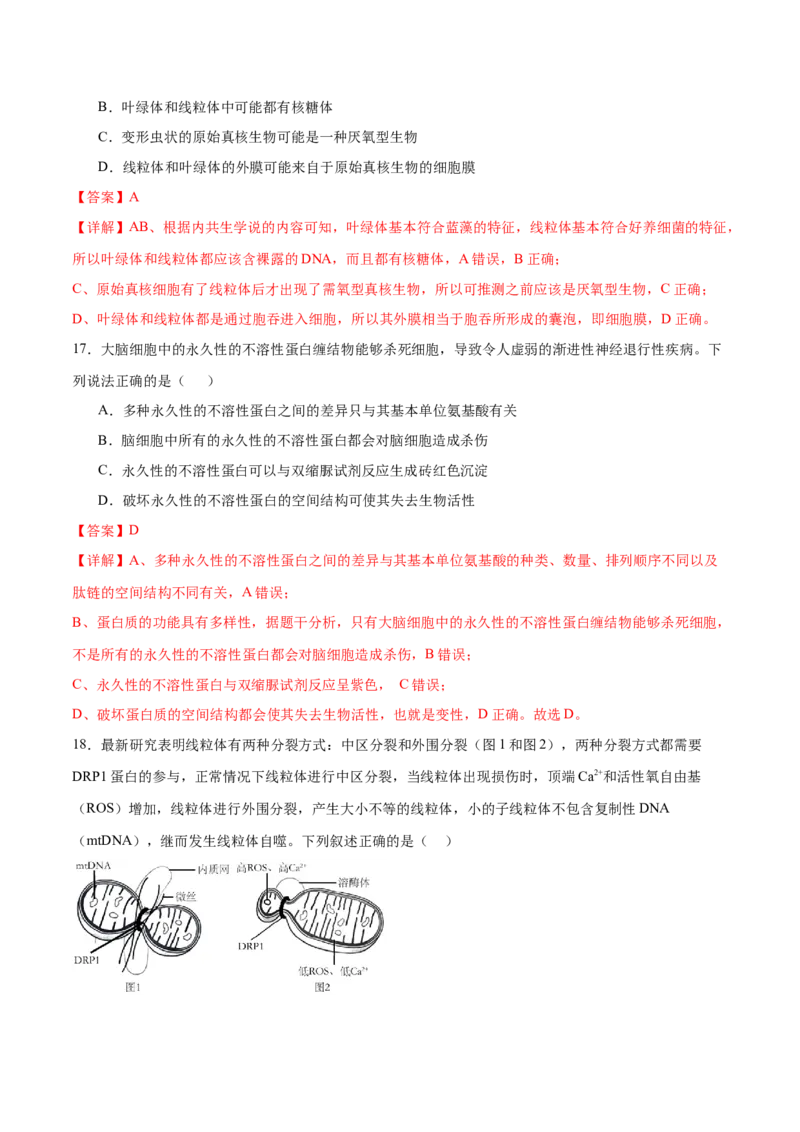 专题一细胞的物质基础和结构基础（测试）（解析版）_2024年新高考资料_2.2024二轮复习_2024年高考生物二轮复习讲练测（新教材新高考）