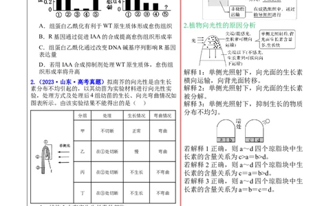 押新高考卷植物生命活动的调节（原卷版）-备战2024年高考生物临考题号押题（新高考通用）_2024年新高考资料_5.2024三轮冲刺_备战2024年高考生物临考题号押题（新高考通用）322745222