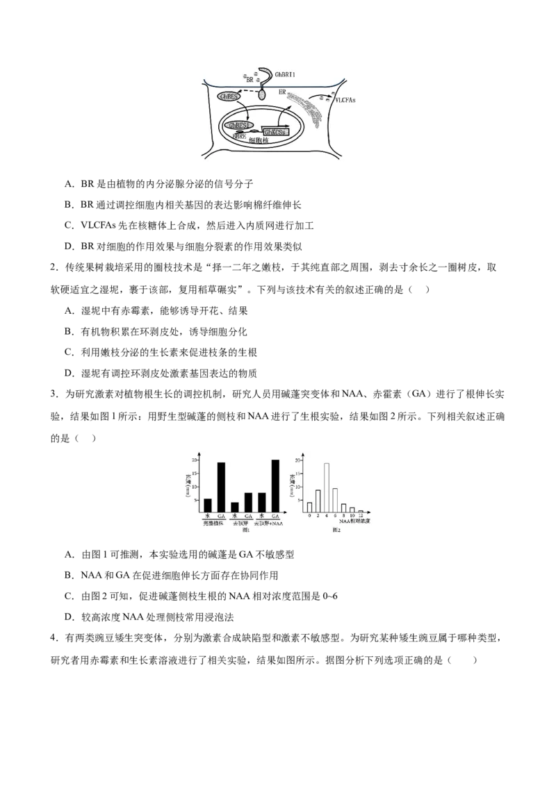 押新高考卷植物生命活动的调节（原卷版）-备战2024年高考生物临考题号押题（新高考通用）_2024年新高考资料_5.2024三轮冲刺_备战2024年高考生物临考题号押题（新高考通用）322745222