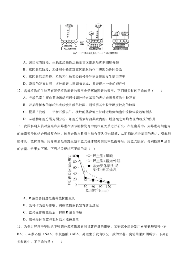 押新高考卷植物生命活动的调节（原卷版）-备战2024年高考生物临考题号押题（新高考通用）_2024年新高考资料_5.2024三轮冲刺_备战2024年高考生物临考题号押题（新高考通用）322745222
