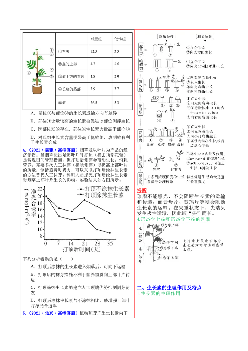 押新高考卷植物生命活动的调节（原卷版）-备战2024年高考生物临考题号押题（新高考通用）_2024年新高考资料_5.2024三轮冲刺_备战2024年高考生物临考题号押题（新高考通用）322745222