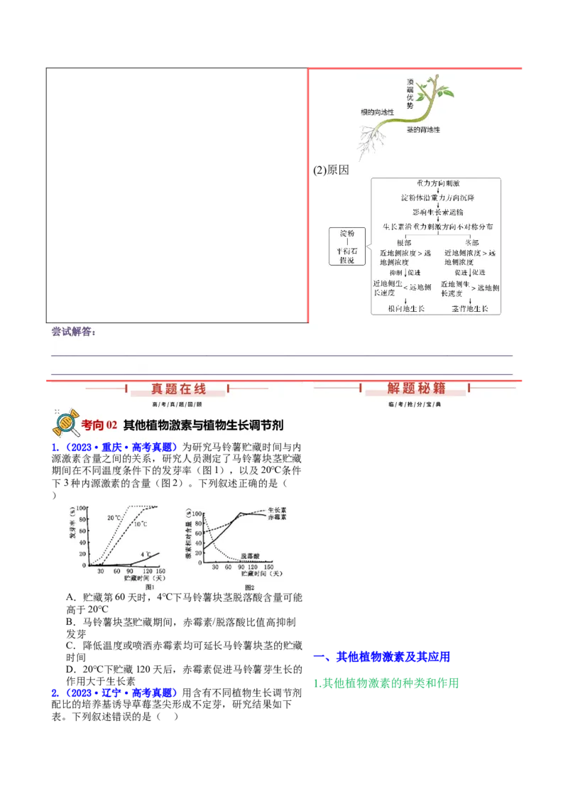 押新高考卷植物生命活动的调节（原卷版）-备战2024年高考生物临考题号押题（新高考通用）_2024年新高考资料_5.2024三轮冲刺_备战2024年高考生物临考题号押题（新高考通用）322745222