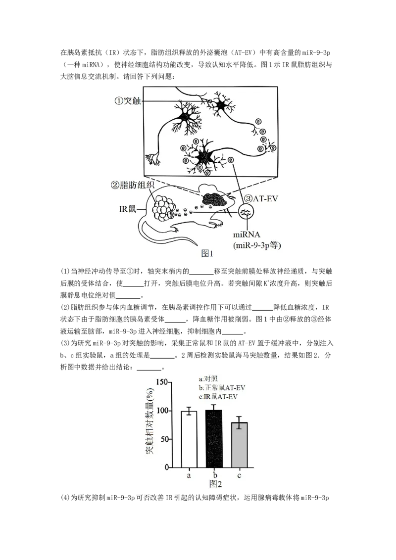 专题17体液调节和免疫调节（原卷版）_2024年新高考资料_1.2024一轮复习_备战2024年高考生物一轮复习抢分特训（全国通用）