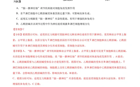 专题31动物生命活动调节的综合分析（解析版)_2024年新高考资料_3.2024专项复习_备战2024年高考生物一轮复习重难点专项突破
