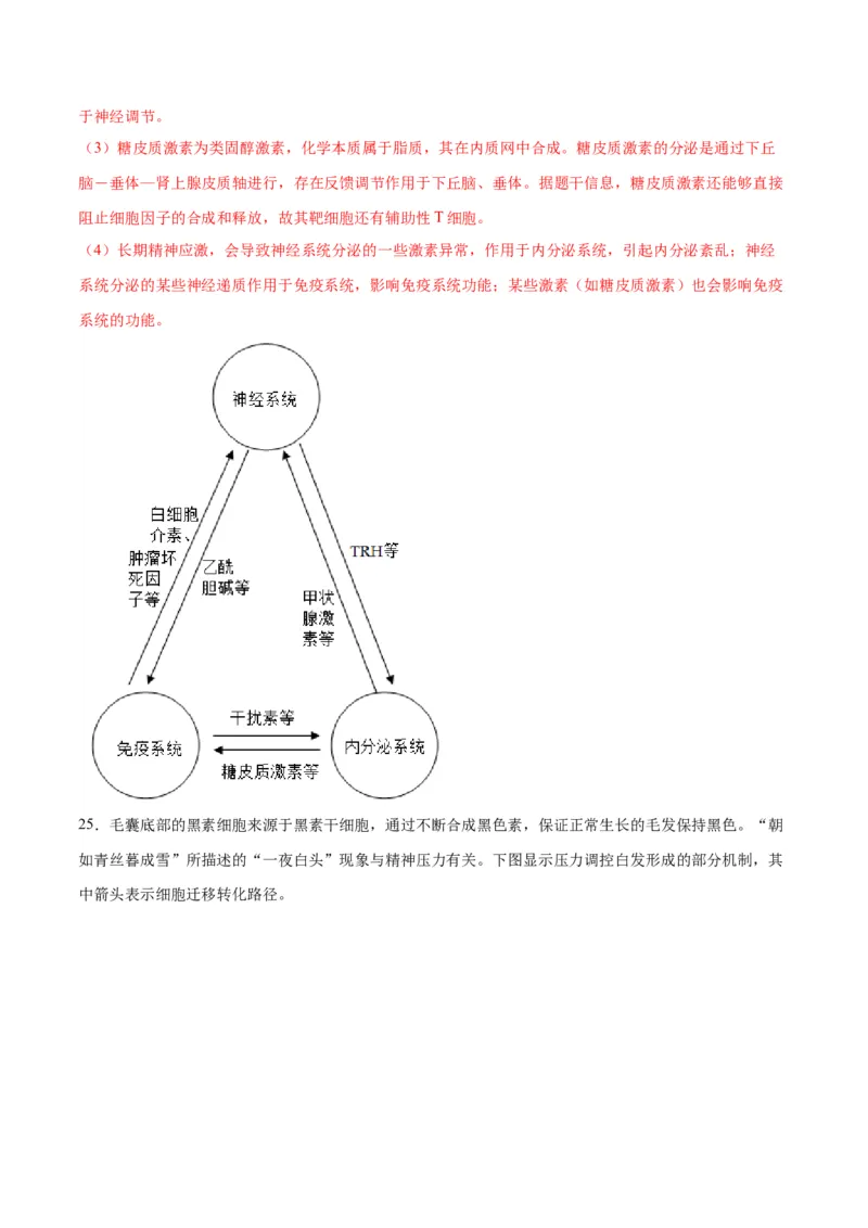专题31动物生命活动调节的综合分析（解析版)_2024年新高考资料_3.2024专项复习_备战2024年高考生物一轮复习重难点专项突破