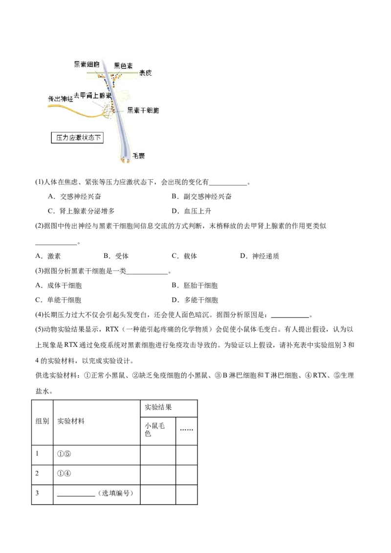 专题31动物生命活动调节的综合分析（解析版)_2024年新高考资料_3.2024专项复习_备战2024年高考生物一轮复习重难点专项突破
