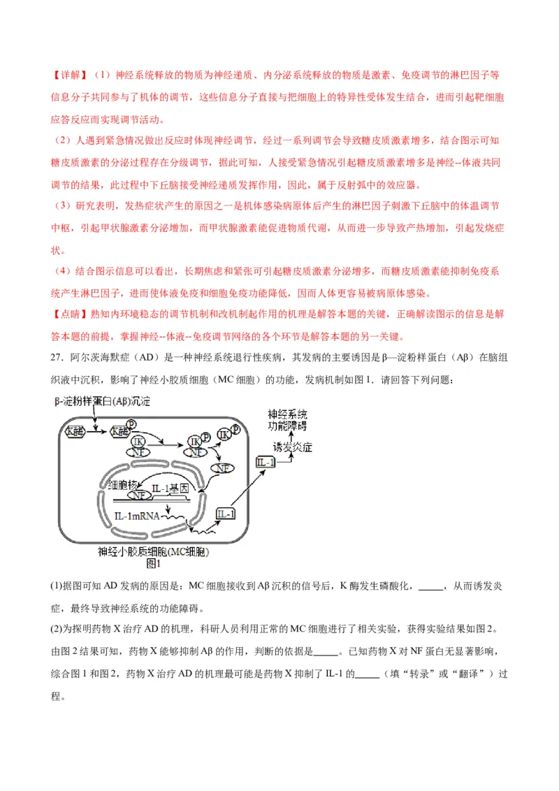 专题31动物生命活动调节的综合分析（解析版)_2024年新高考资料_3.2024专项复习_备战2024年高考生物一轮复习重难点专项突破