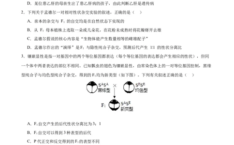 专题四遗传的基本规律和人类遗传病（测试）（原卷版）_2024年新高考资料_2.2024二轮复习_2024年高考生物二轮复习讲练测（新教材新高考）