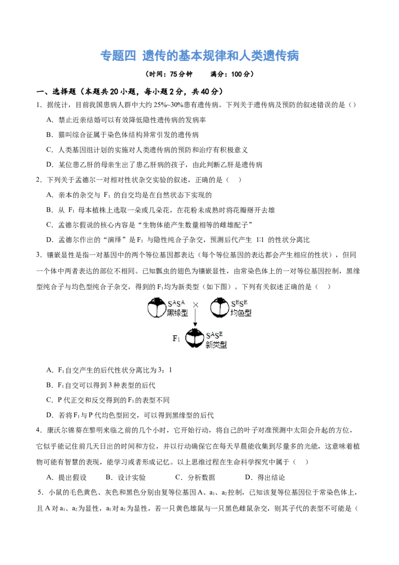 专题四遗传的基本规律和人类遗传病（测试）（原卷版）_2024年新高考资料_2.2024二轮复习_2024年高考生物二轮复习讲练测（新教材新高考）