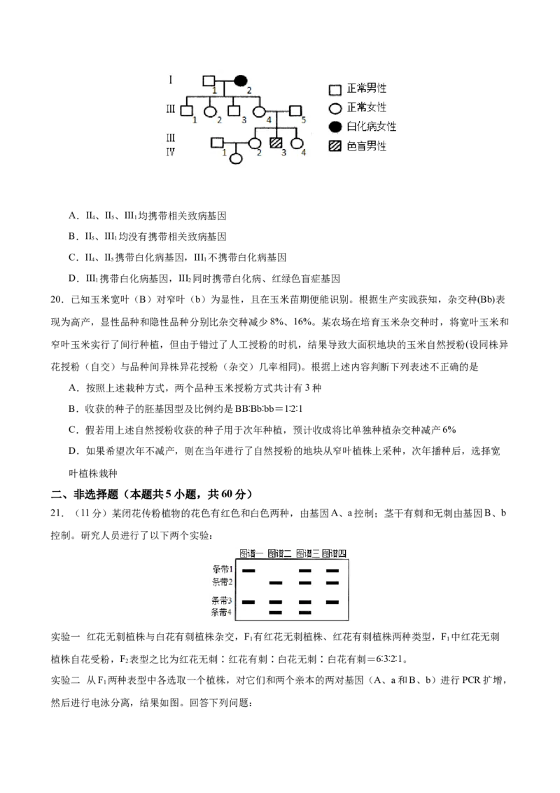 专题四遗传的基本规律和人类遗传病（测试）（原卷版）_2024年新高考资料_2.2024二轮复习_2024年高考生物二轮复习讲练测（新教材新高考）