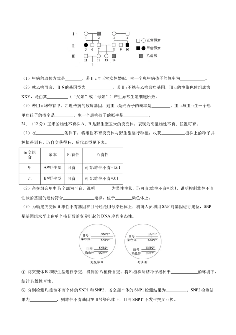 专题四遗传的基本规律和人类遗传病（测试）（原卷版）_2024年新高考资料_2.2024二轮复习_2024年高考生物二轮复习讲练测（新教材新高考）