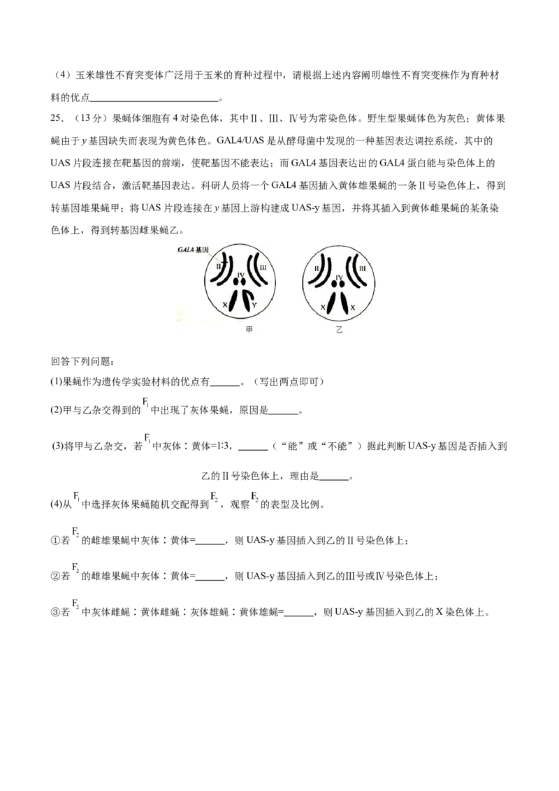 专题四遗传的基本规律和人类遗传病（测试）（原卷版）_2024年新高考资料_2.2024二轮复习_2024年高考生物二轮复习讲练测（新教材新高考）