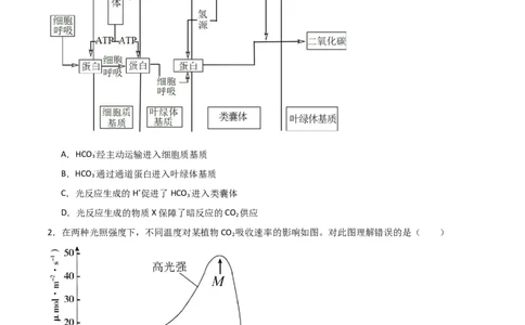 单元检测卷03细胞的能量供应和利用（原卷版）_2024年新高考资料_1.2024一轮复习_2024年高考生物一轮复习考点通关卷（新高考通用）