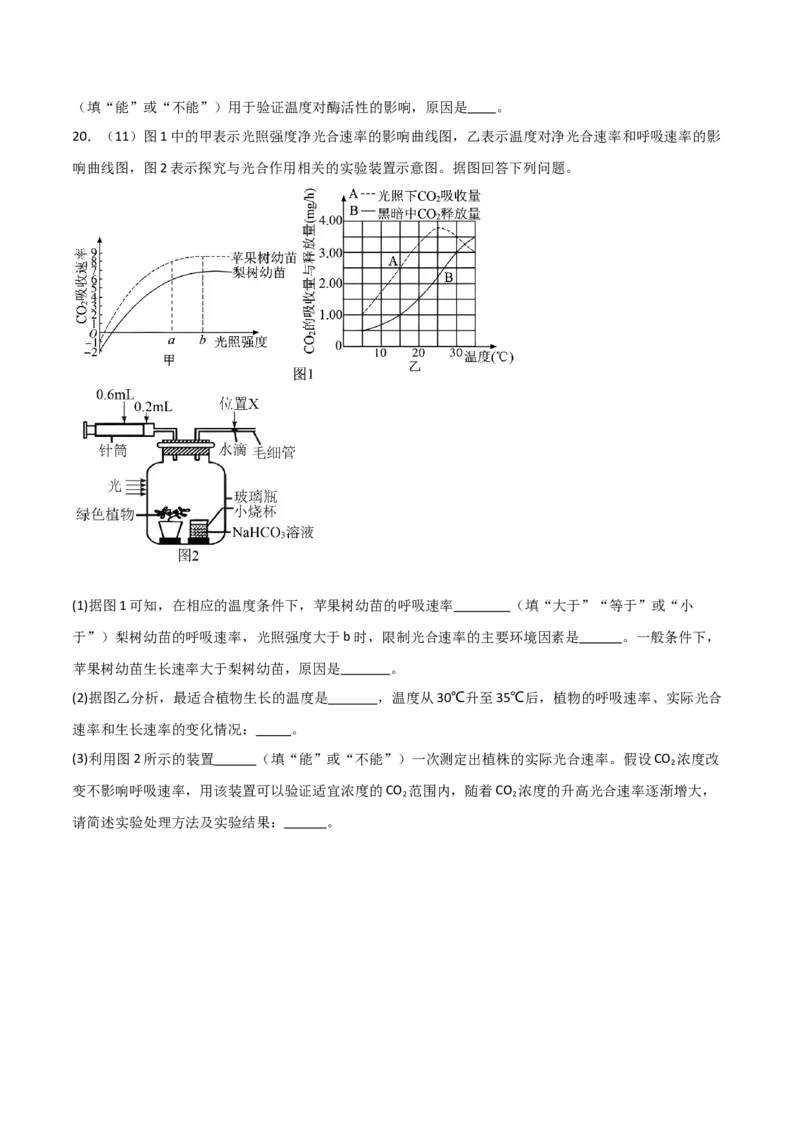 单元检测卷03细胞的能量供应和利用（原卷版）_2024年新高考资料_1.2024一轮复习_2024年高考生物一轮复习考点通关卷（新高考通用）