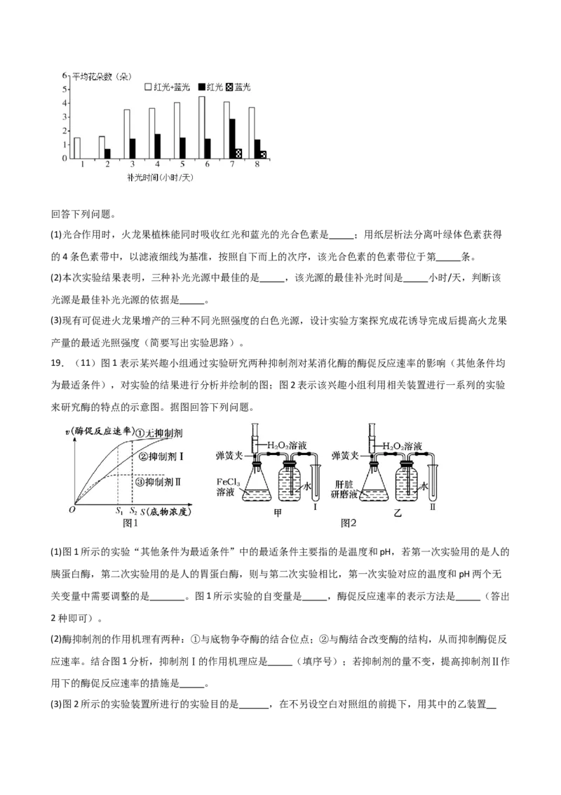 单元检测卷03细胞的能量供应和利用（原卷版）_2024年新高考资料_1.2024一轮复习_2024年高考生物一轮复习考点通关卷（新高考通用）