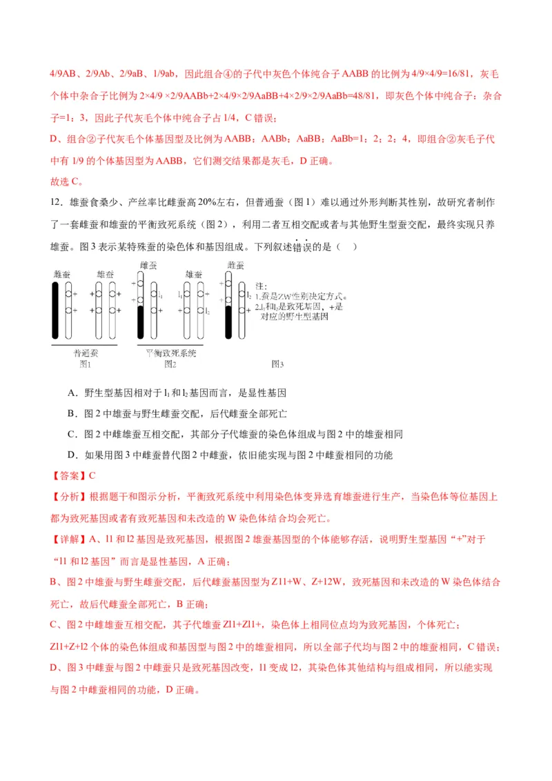 专题18伴性遗传和人类遗传病（解析版)_2024年新高考资料_3.2024专项复习_备战2024年高考生物一轮复习重难点专项突破_专题18伴性遗传和人类遗传病