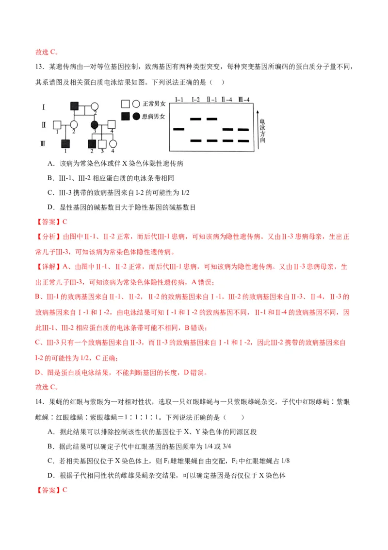 专题18伴性遗传和人类遗传病（解析版)_2024年新高考资料_3.2024专项复习_备战2024年高考生物一轮复习重难点专项突破_专题18伴性遗传和人类遗传病