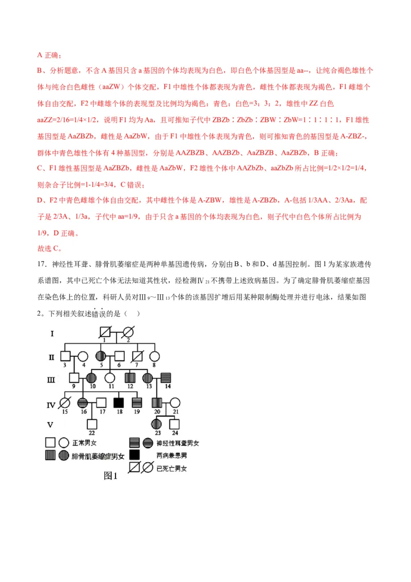 专题18伴性遗传和人类遗传病（解析版)_2024年新高考资料_3.2024专项复习_备战2024年高考生物一轮复习重难点专项突破_专题18伴性遗传和人类遗传病