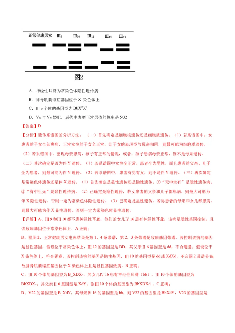 专题18伴性遗传和人类遗传病（解析版)_2024年新高考资料_3.2024专项复习_备战2024年高考生物一轮复习重难点专项突破_专题18伴性遗传和人类遗传病