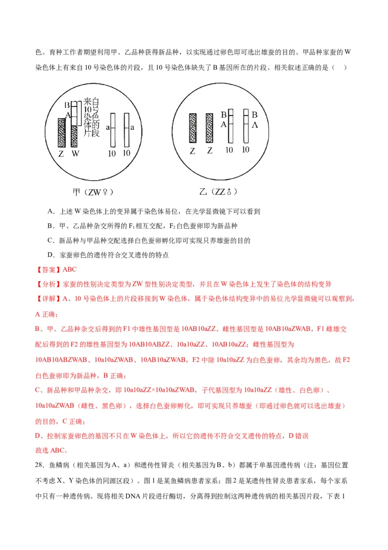 专题18伴性遗传和人类遗传病（解析版)_2024年新高考资料_3.2024专项复习_备战2024年高考生物一轮复习重难点专项突破_专题18伴性遗传和人类遗传病
