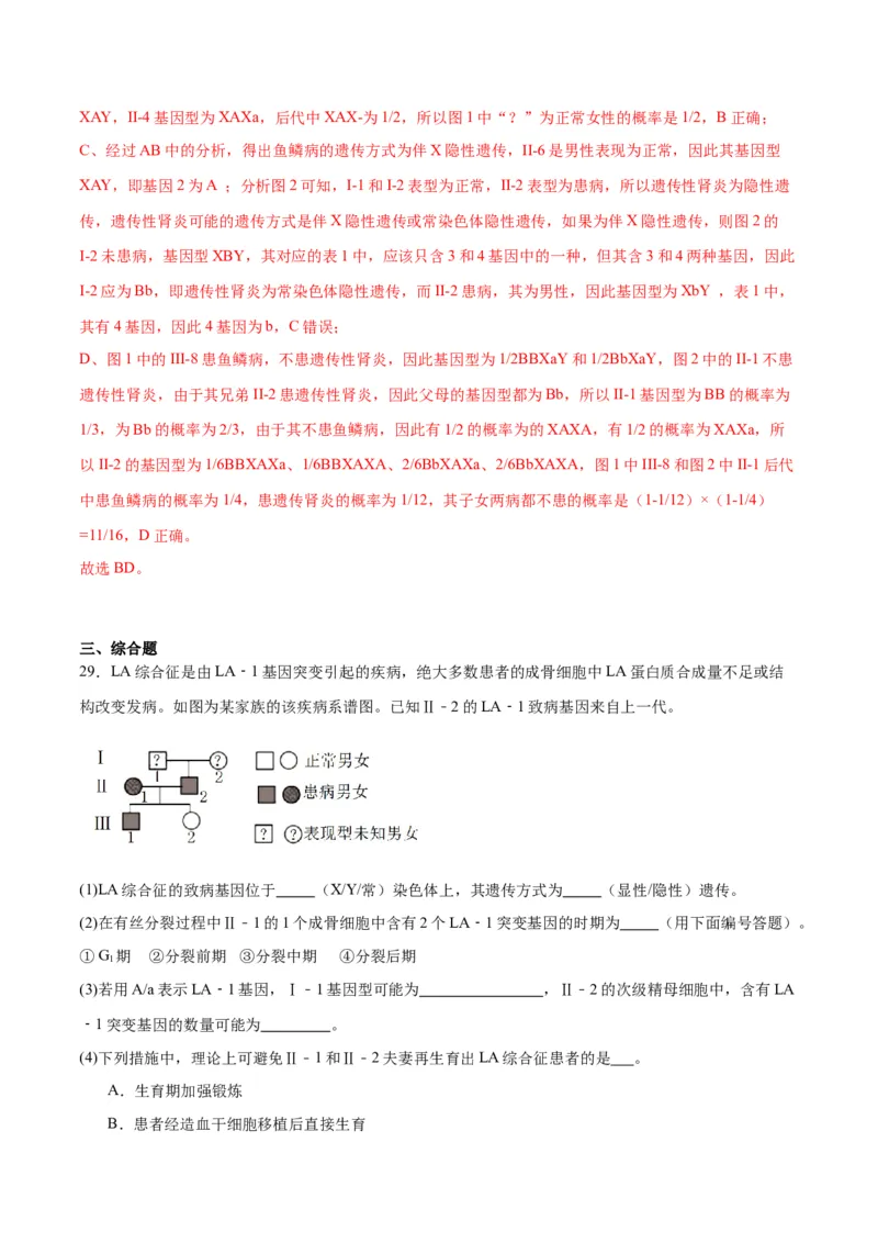 专题18伴性遗传和人类遗传病（解析版)_2024年新高考资料_3.2024专项复习_备战2024年高考生物一轮复习重难点专项突破_专题18伴性遗传和人类遗传病