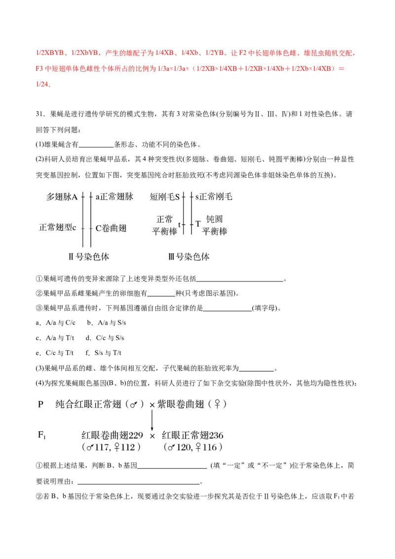 专题18伴性遗传和人类遗传病（解析版)_2024年新高考资料_3.2024专项复习_备战2024年高考生物一轮复习重难点专项突破_专题18伴性遗传和人类遗传病