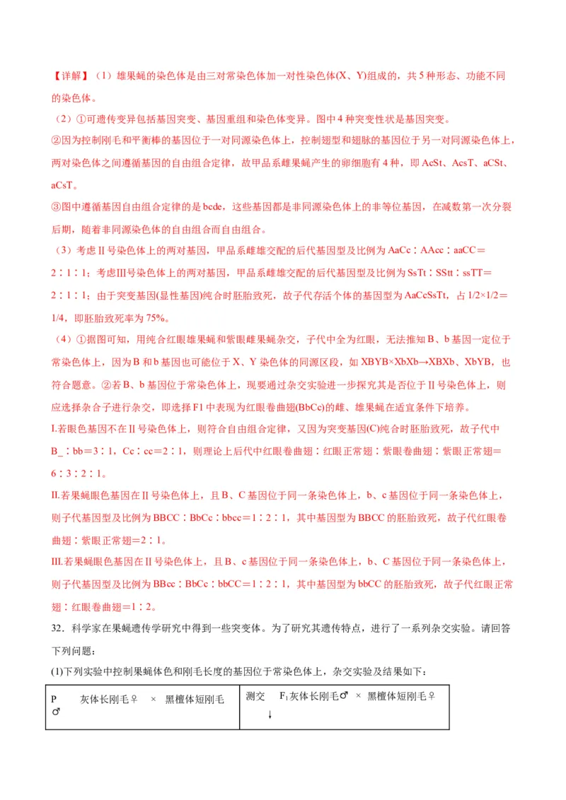 专题18伴性遗传和人类遗传病（解析版)_2024年新高考资料_3.2024专项复习_备战2024年高考生物一轮复习重难点专项突破_专题18伴性遗传和人类遗传病