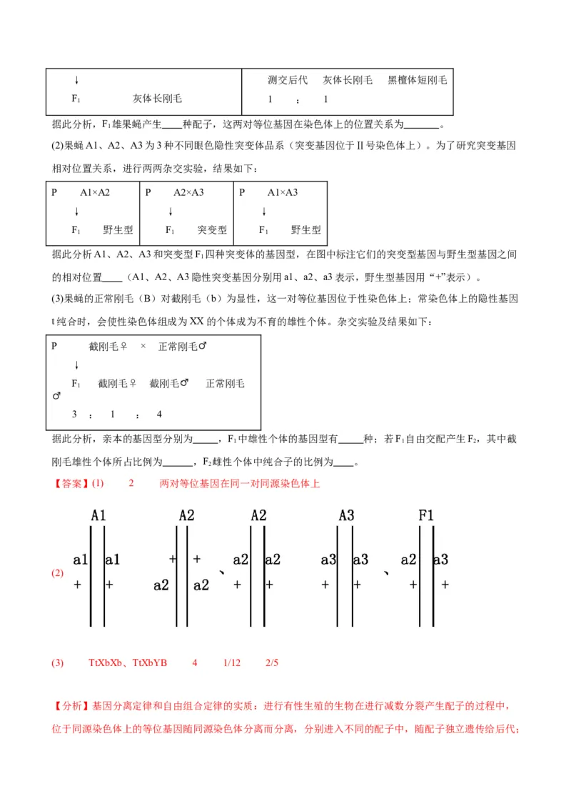 专题18伴性遗传和人类遗传病（解析版)_2024年新高考资料_3.2024专项复习_备战2024年高考生物一轮复习重难点专项突破_专题18伴性遗传和人类遗传病