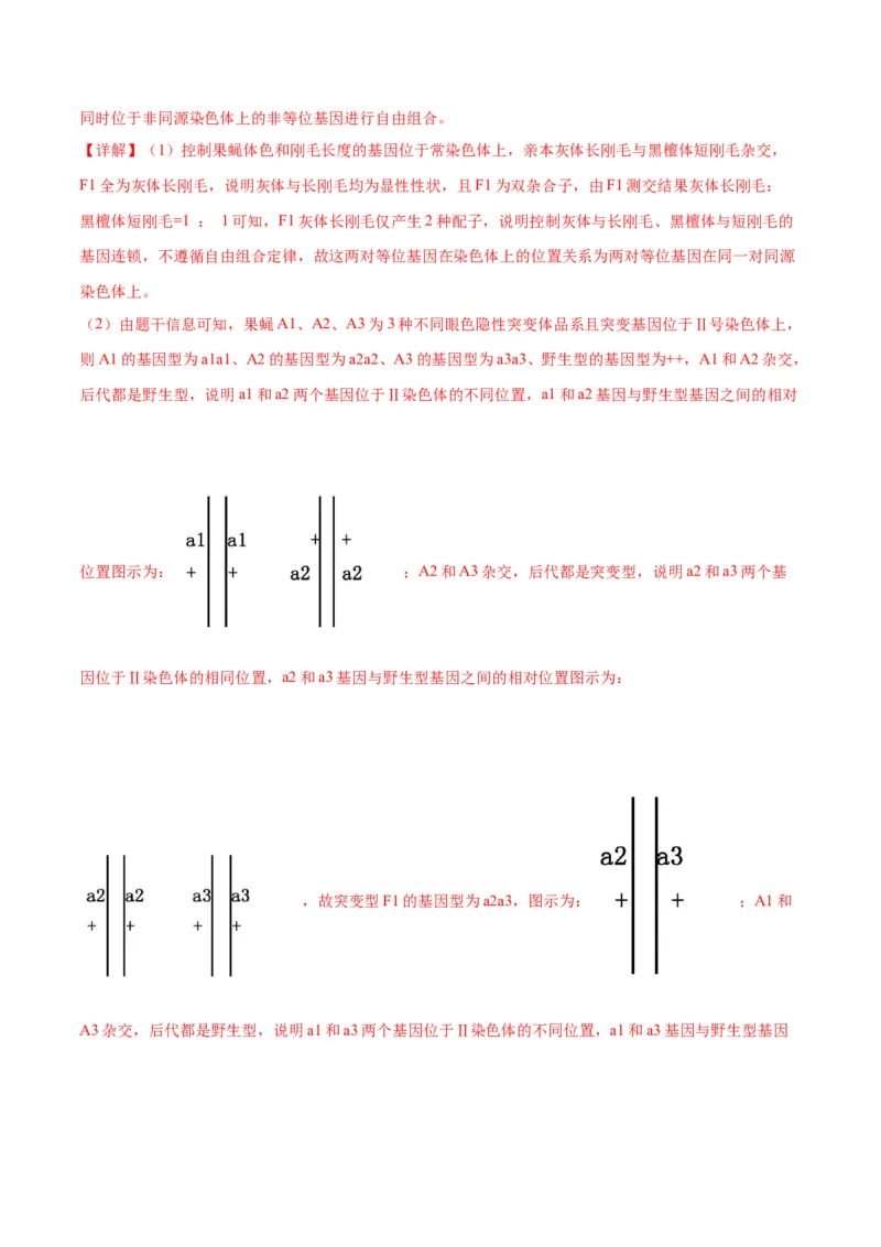 专题18伴性遗传和人类遗传病（解析版)_2024年新高考资料_3.2024专项复习_备战2024年高考生物一轮复习重难点专项突破_专题18伴性遗传和人类遗传病