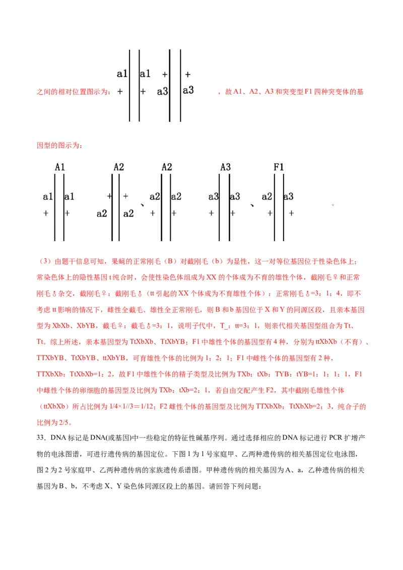 专题18伴性遗传和人类遗传病（解析版)_2024年新高考资料_3.2024专项复习_备战2024年高考生物一轮复习重难点专项突破_专题18伴性遗传和人类遗传病