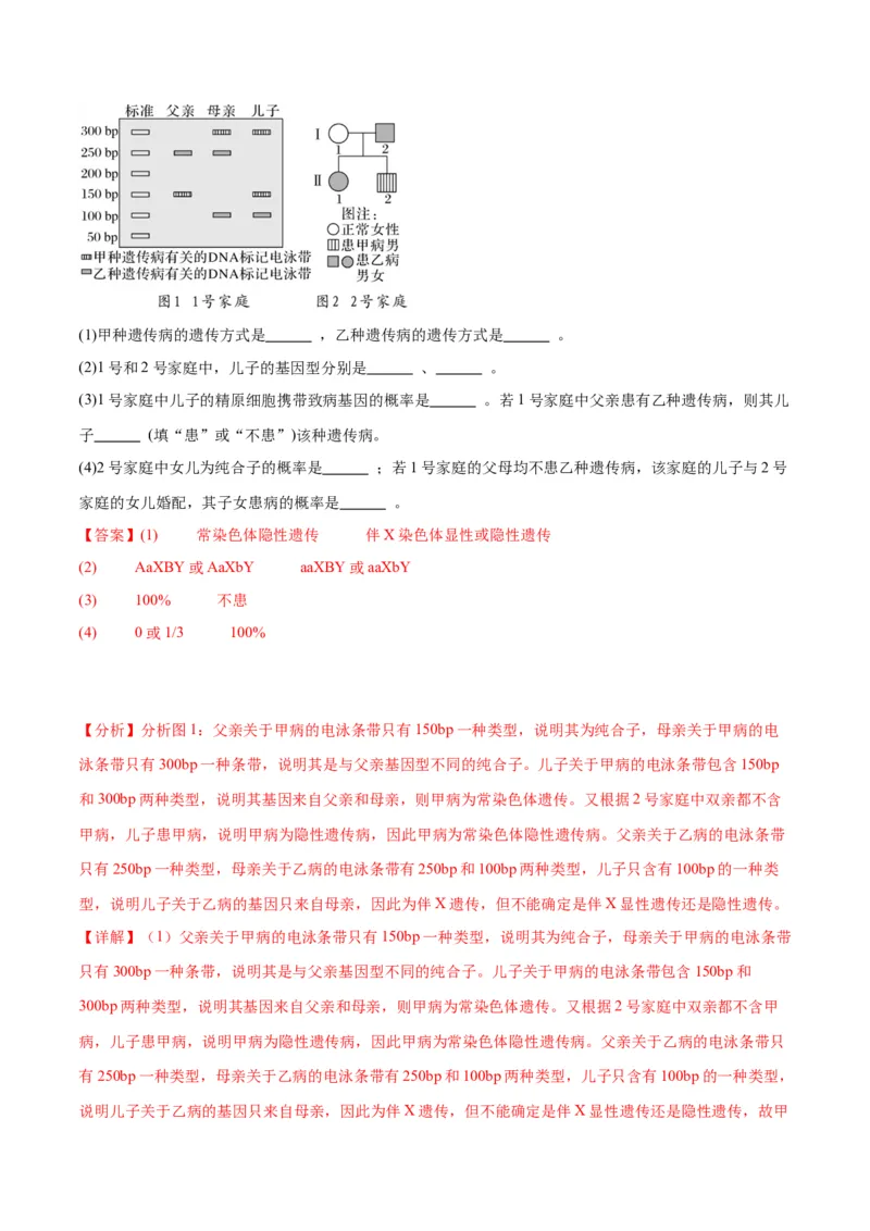 专题18伴性遗传和人类遗传病（解析版)_2024年新高考资料_3.2024专项复习_备战2024年高考生物一轮复习重难点专项突破_专题18伴性遗传和人类遗传病