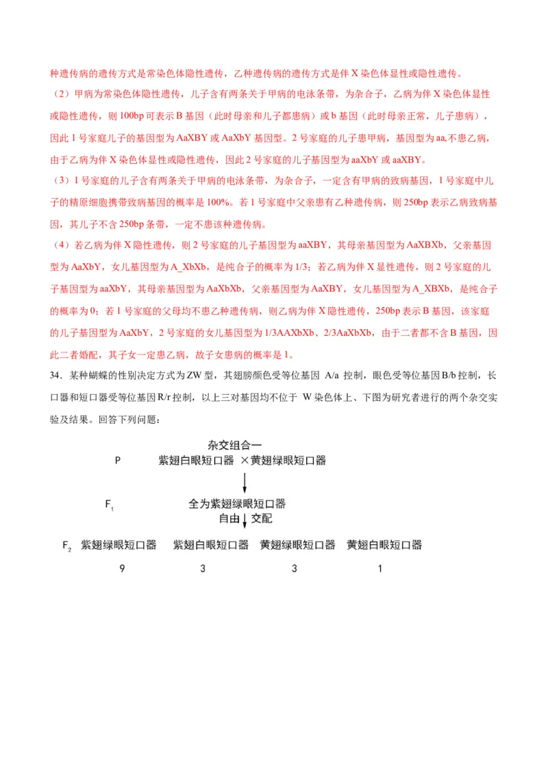 专题18伴性遗传和人类遗传病（解析版)_2024年新高考资料_3.2024专项复习_备战2024年高考生物一轮复习重难点专项突破_专题18伴性遗传和人类遗传病