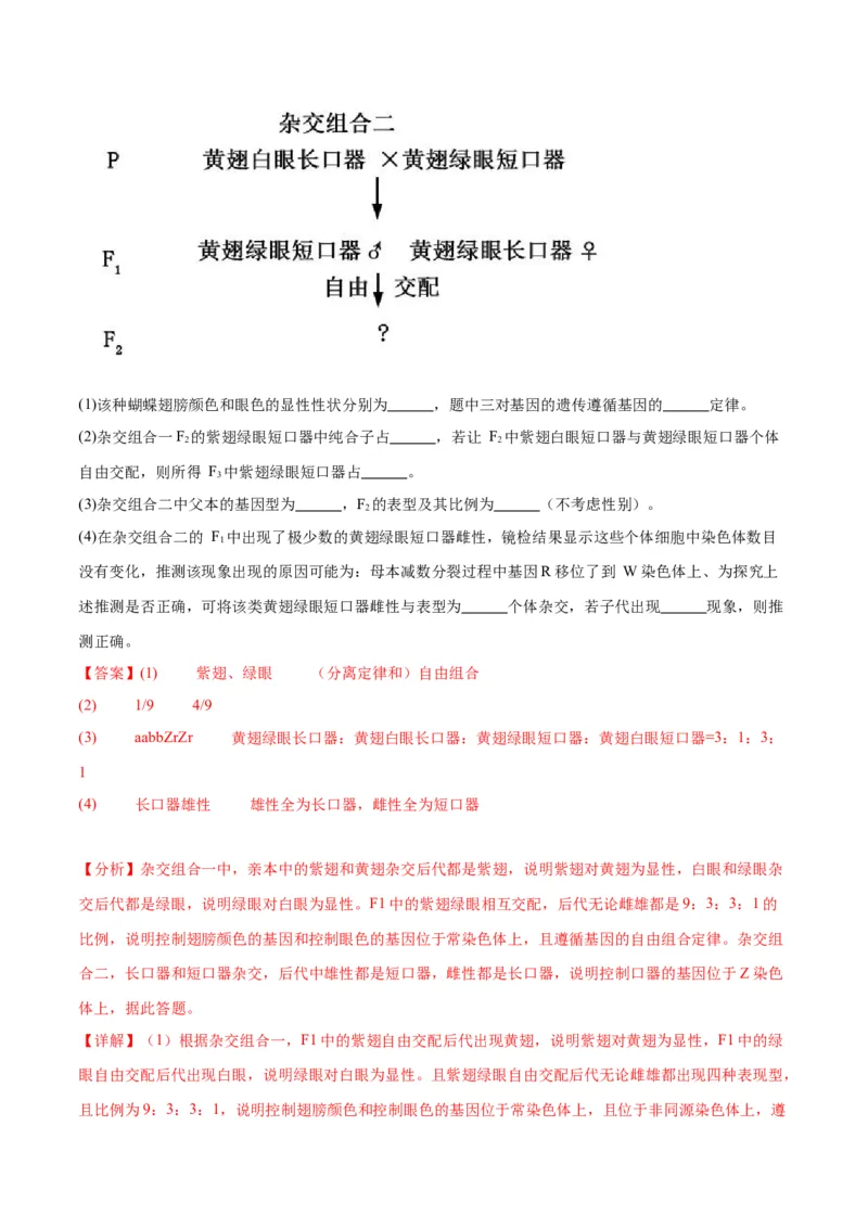 专题18伴性遗传和人类遗传病（解析版)_2024年新高考资料_3.2024专项复习_备战2024年高考生物一轮复习重难点专项突破_专题18伴性遗传和人类遗传病